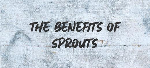 The benefits of sprouts - Australian Wheatgrass