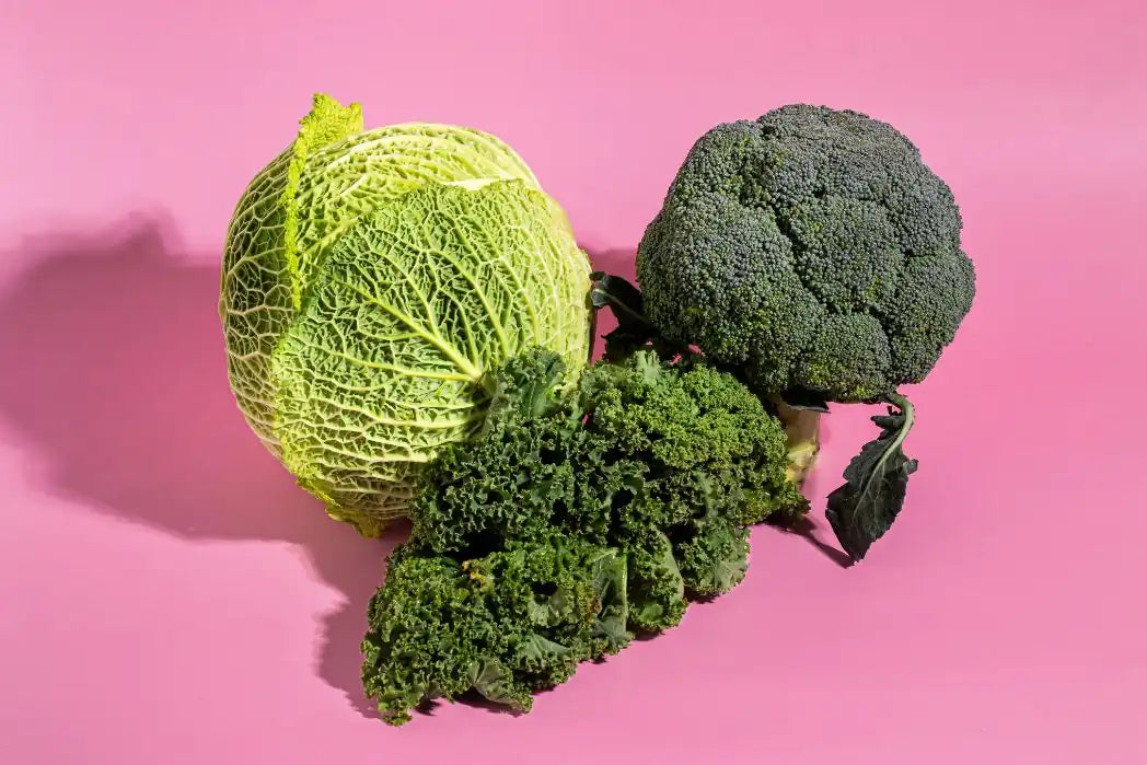 Broccoli Sprouts Guide: Easy Growing Tips & Health Benefits