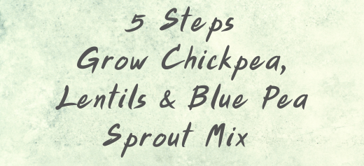How to Grow: Chickpeas, Red Lentils and Blue Pea Mix