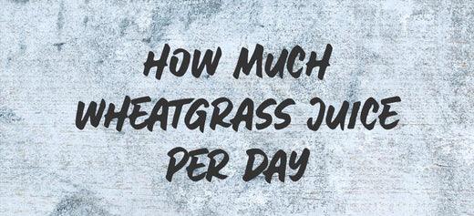 How Much Wheatgrass Juice Per Day? - Australian Wheatgrass