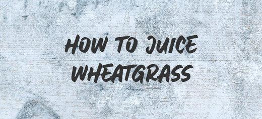 How do I juice wheatgrass? - Australian Wheatgrass