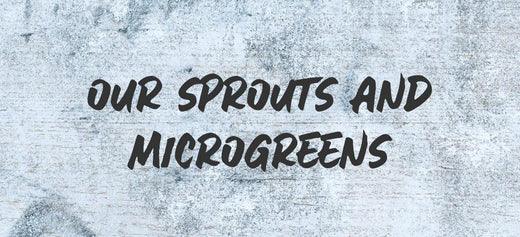Our sprouts & microgreens - Australian Wheatgrass