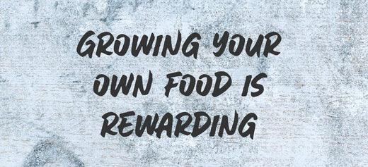 The benefits of growing your own food - Australian Wheatgrass