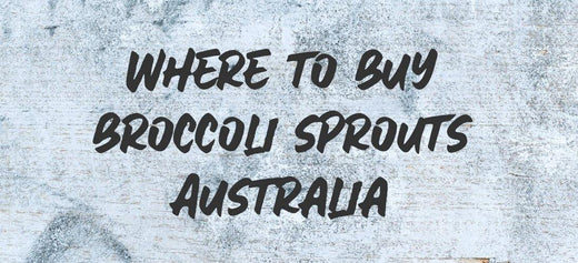 Where to buy broccoli sprouts in Australia – shopping guide