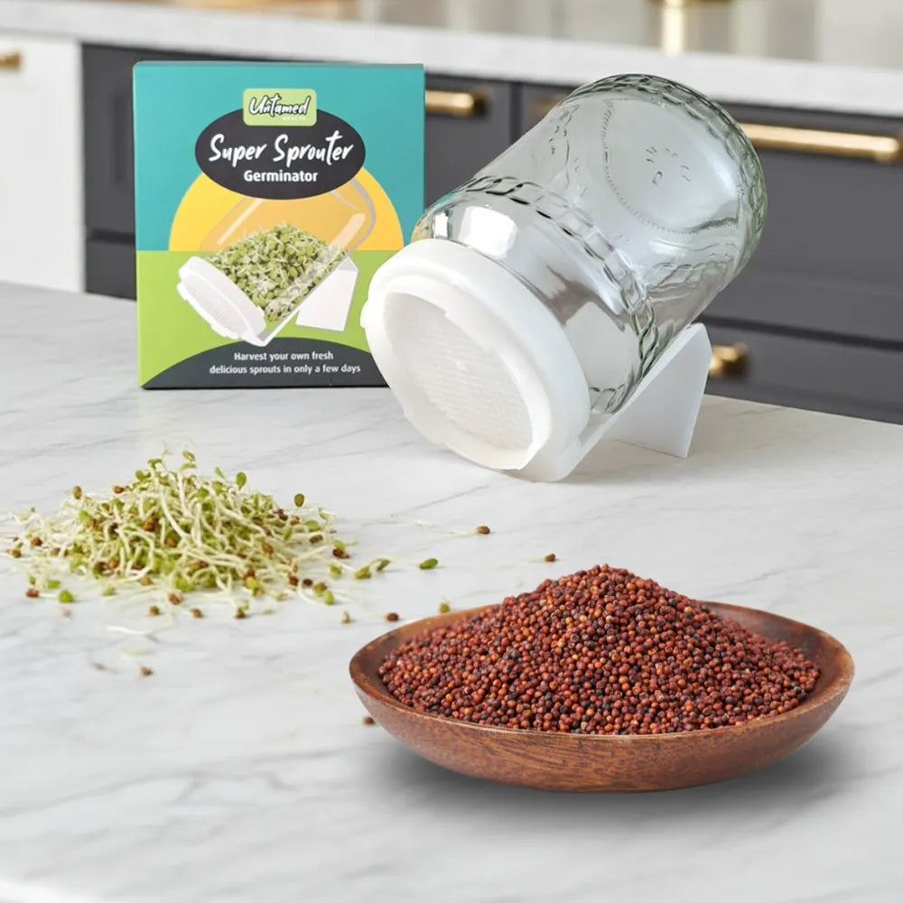 Broccoli Seed Sprouter Kit includes 2 sprouting jars and 1kg of broccoli seeds - Australian Wheatgrass