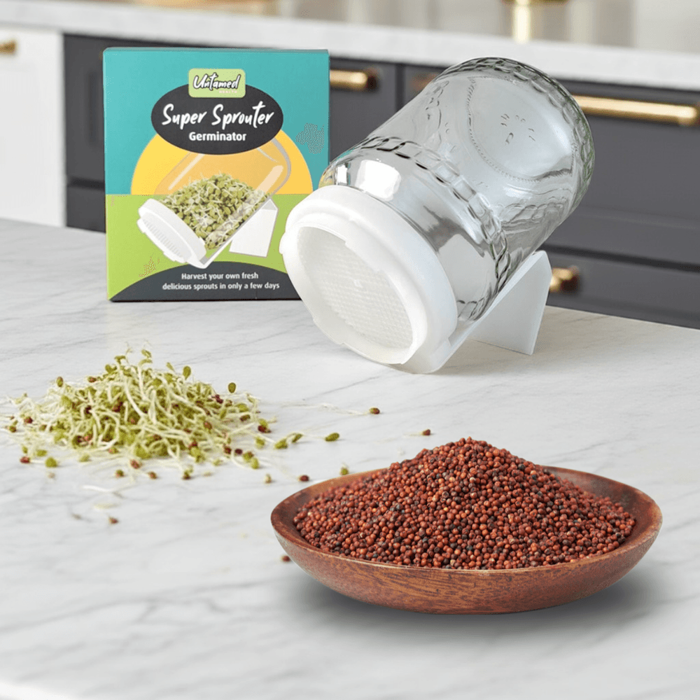 Broccoli Sprouts Grow Kit with 1kg of broccoli seeds in a wooden bowl, glass sprouter jar, and packaging on a kitchen counter.