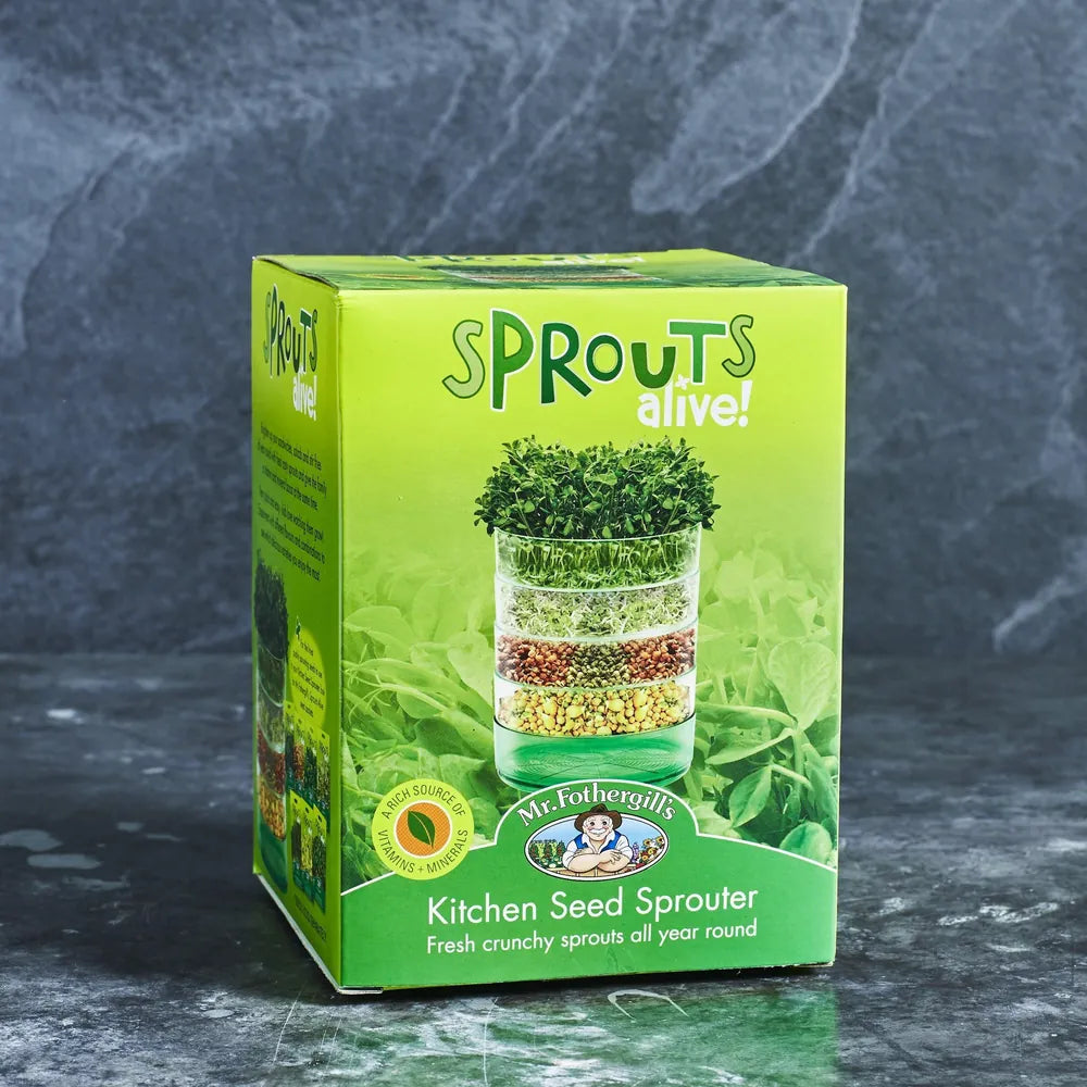 Kitchen Seed Sprouter - Mr Fothergills - Australian Wheatgrass