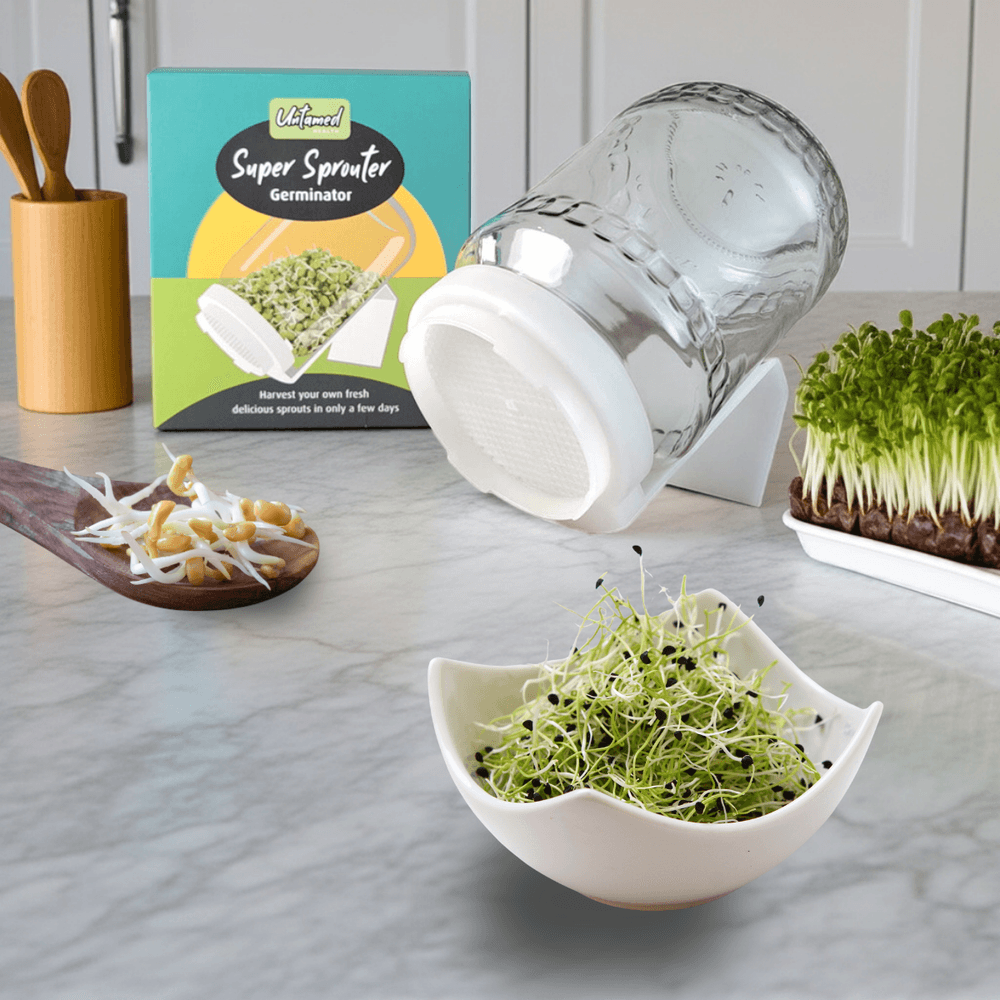 Beginner Sprouting Kit with glass jar sprouter, seed mix, and instruction box for growing broccoli and alfalfa sprouts at home on a kitchen counter.