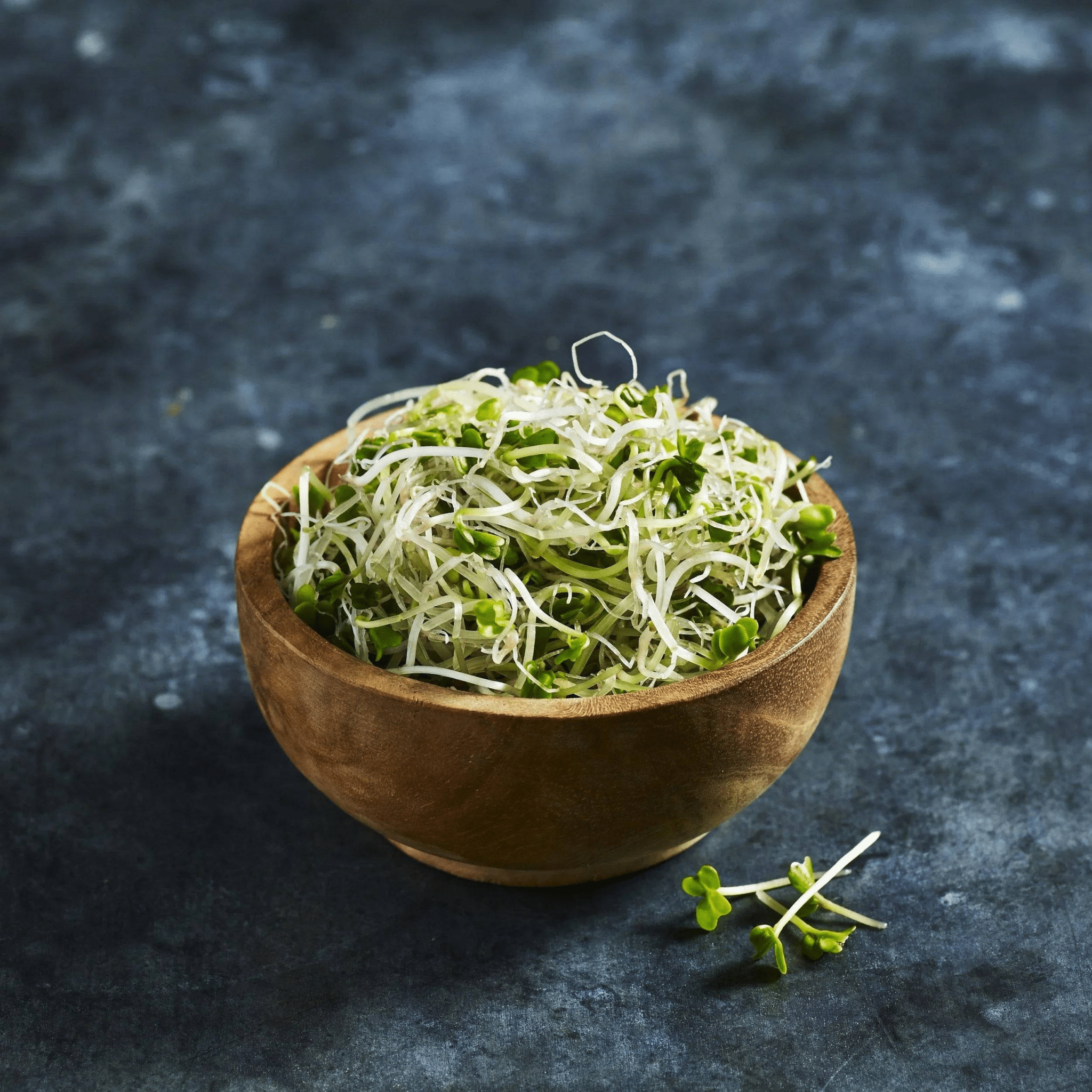 Broccoli Sprout Grow Kit - Australian Wheatgrass