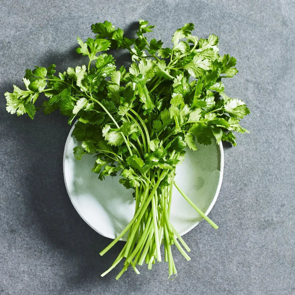 Coriander Seeds - Herbs - Australian Wheatgrass