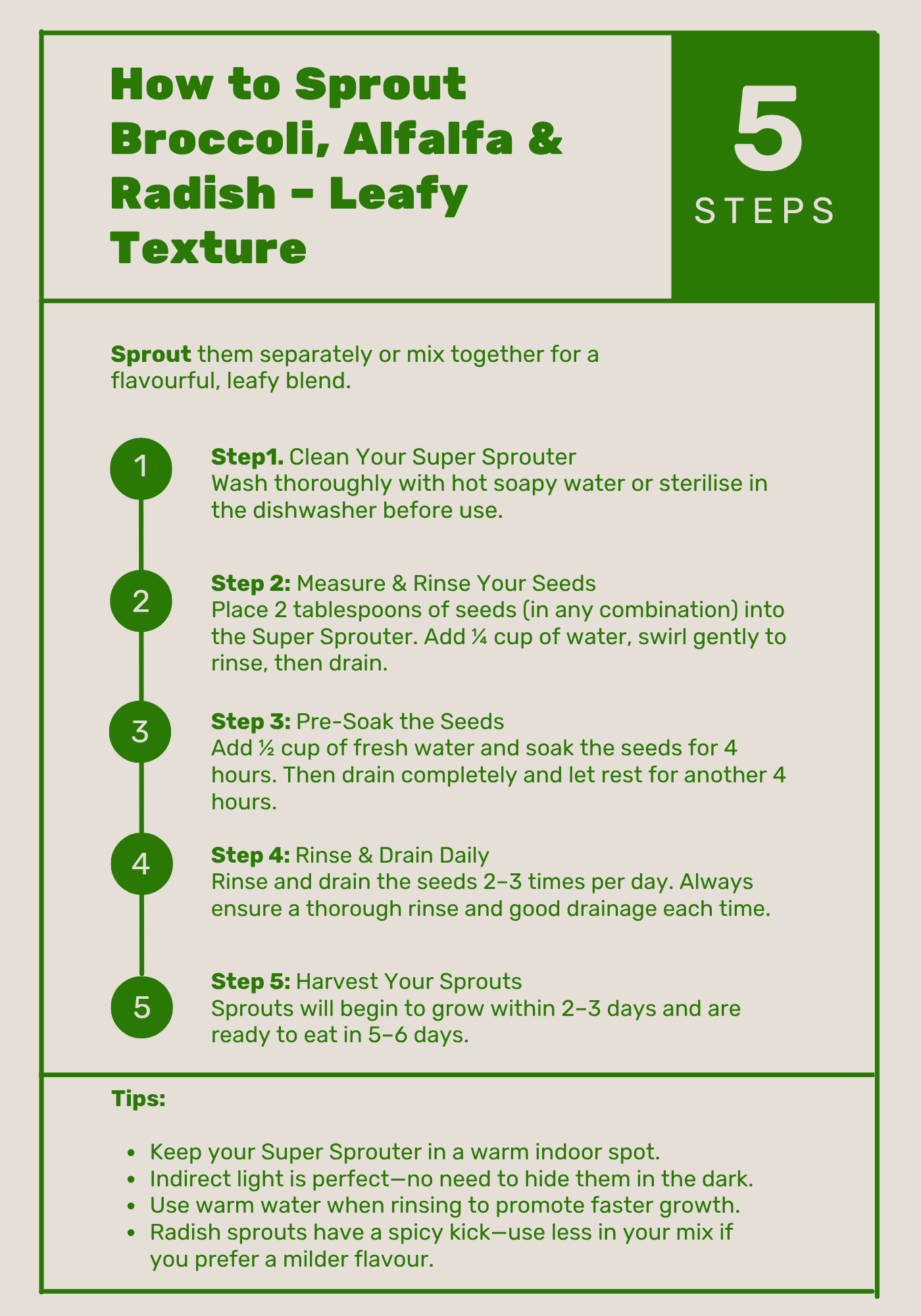 Instructions on how to sprout broccoli, alfalfa, and radish with a step-by-step guide.