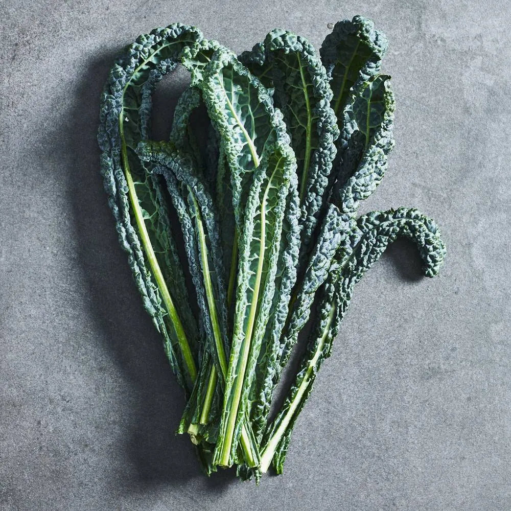 Kale Seeds - Tuscan - Australian Wheatgrass