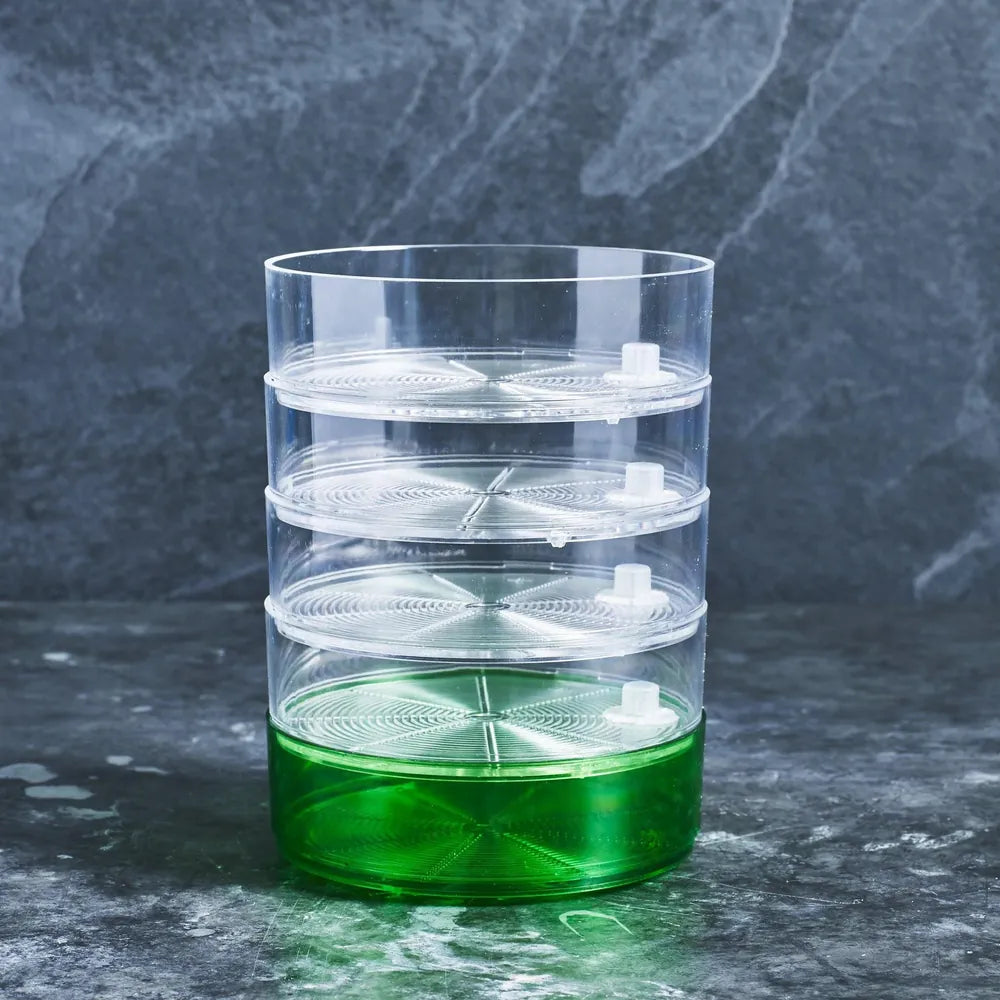 Kitchen Seed Sprouter - Mr Fothergills - Australian Wheatgrass