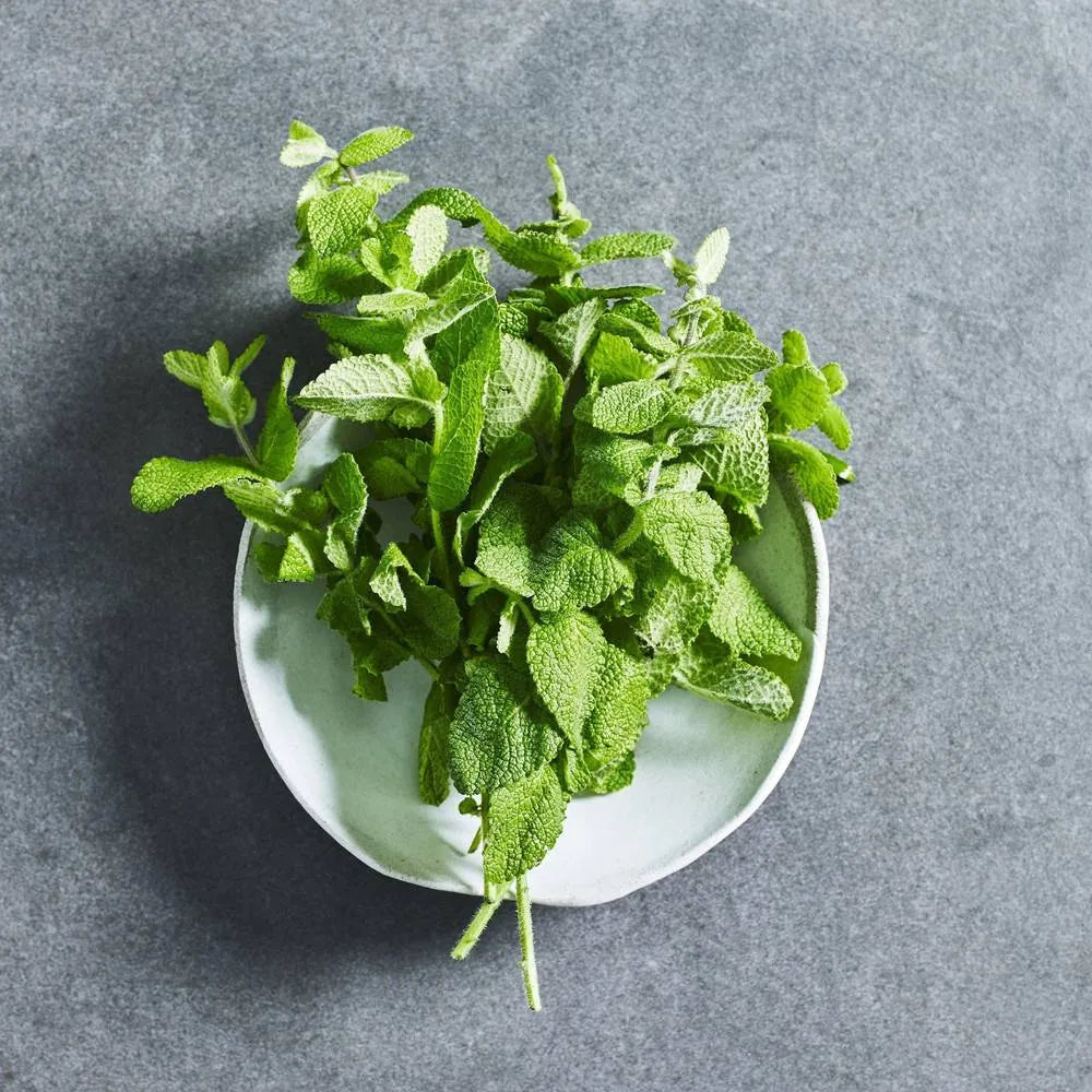 Lemon Balm Seeds - Herbs - Australian Wheatgrass