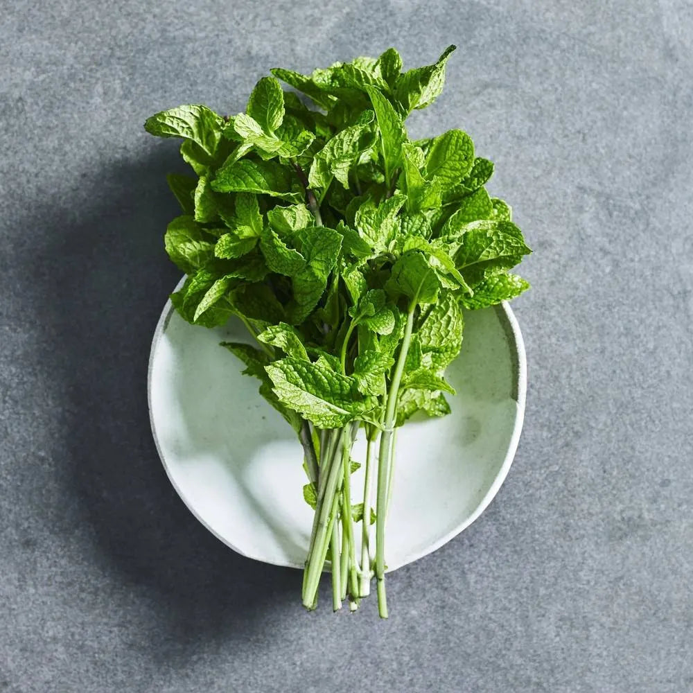 Mint Seeds - Herbs - Australian Wheatgrass
