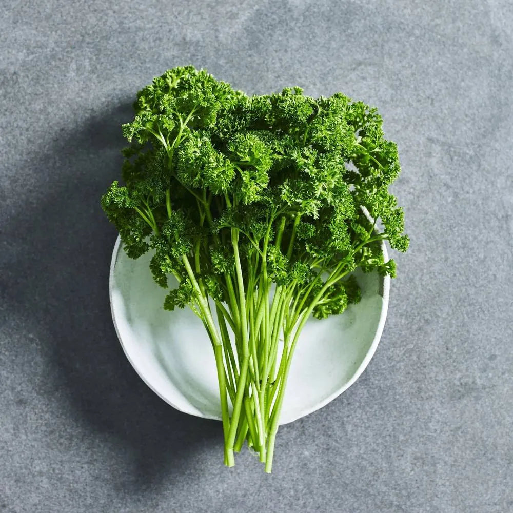 Parsley Curled Seeds - Herbs - Australian Wheatgrass