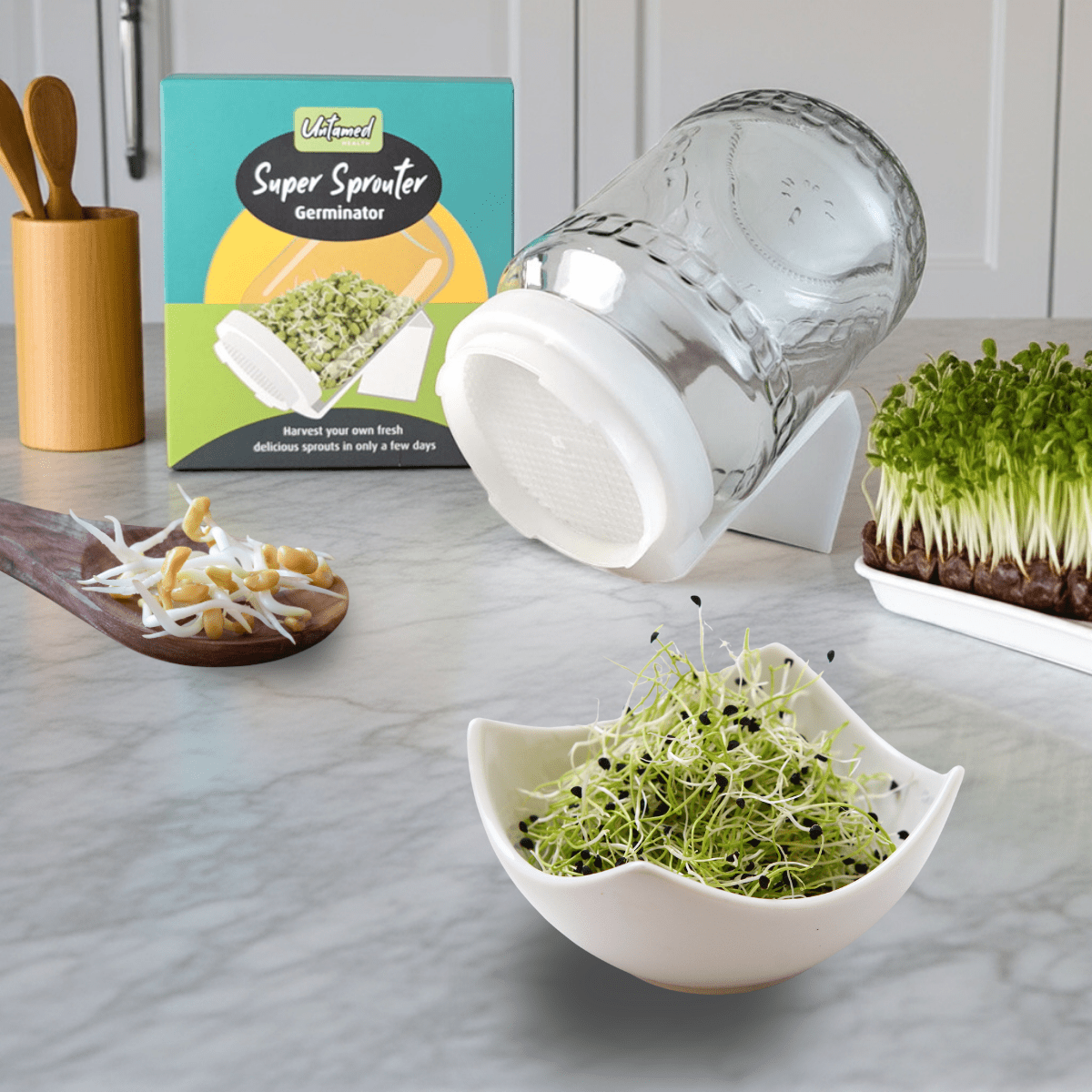 Sprouting Kit For Beginners - Australian Wheatgrass