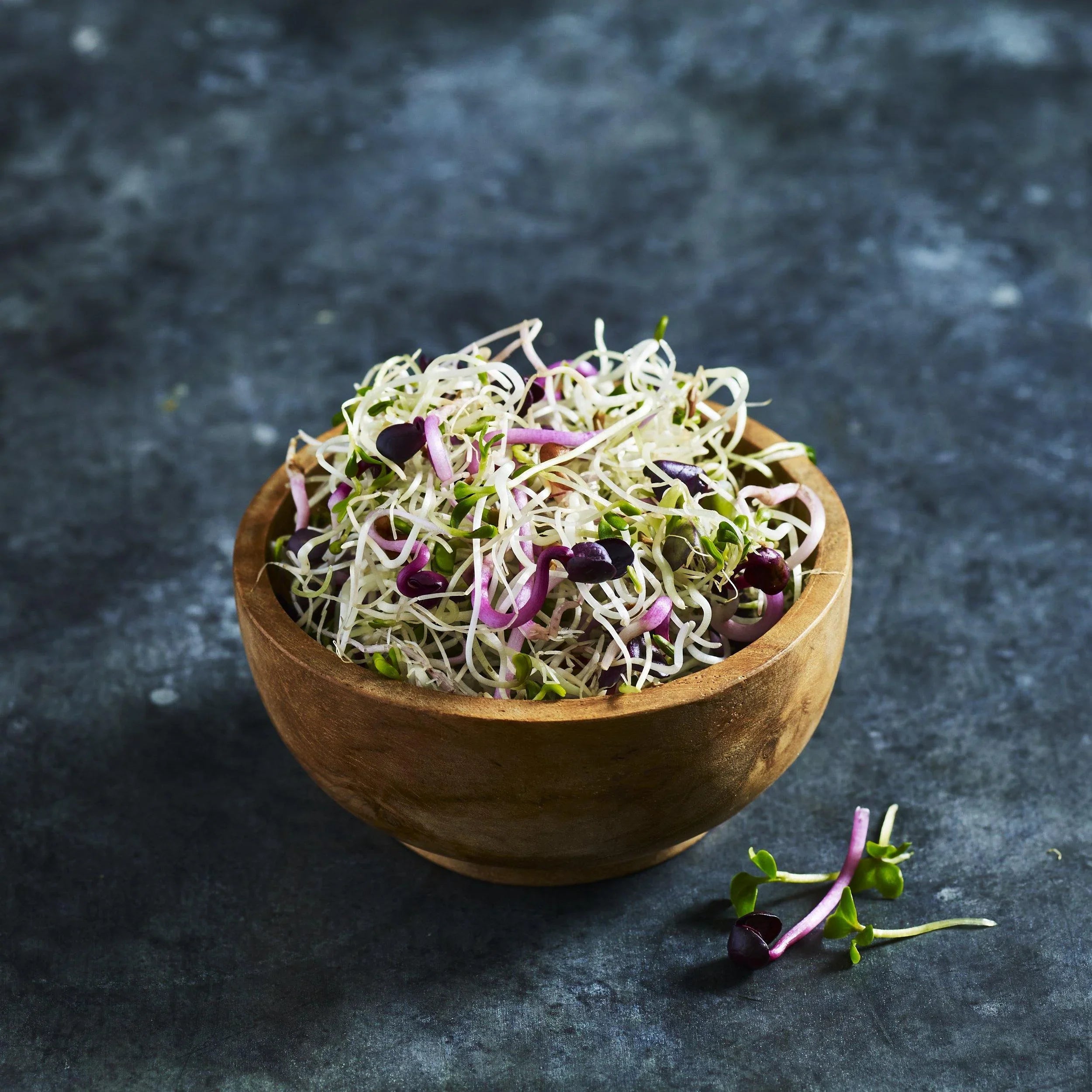 Alfalfa & Radish Sprouts - Australian Wheatgrass