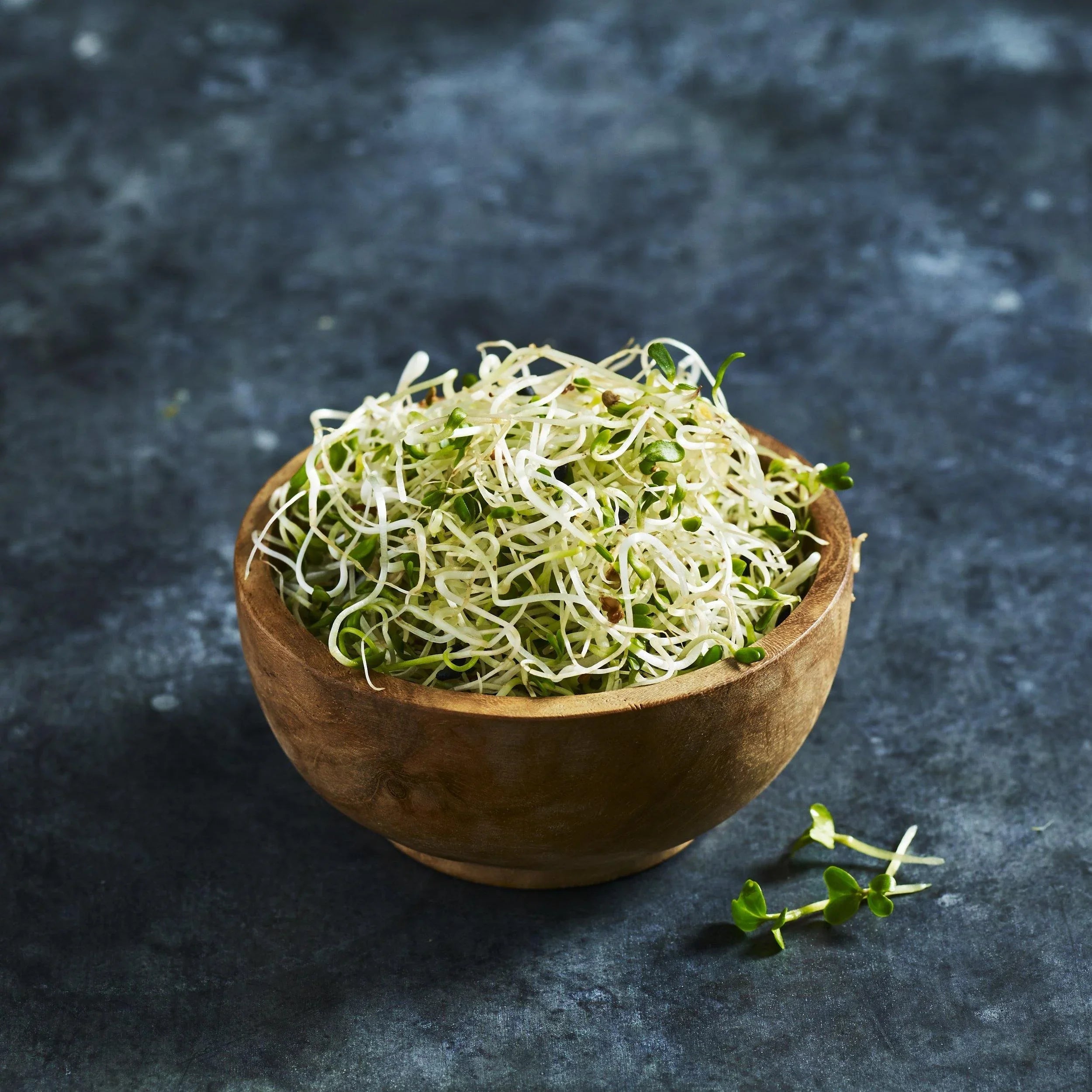 Alfalfa Sprouts - Australian Wheatgrass