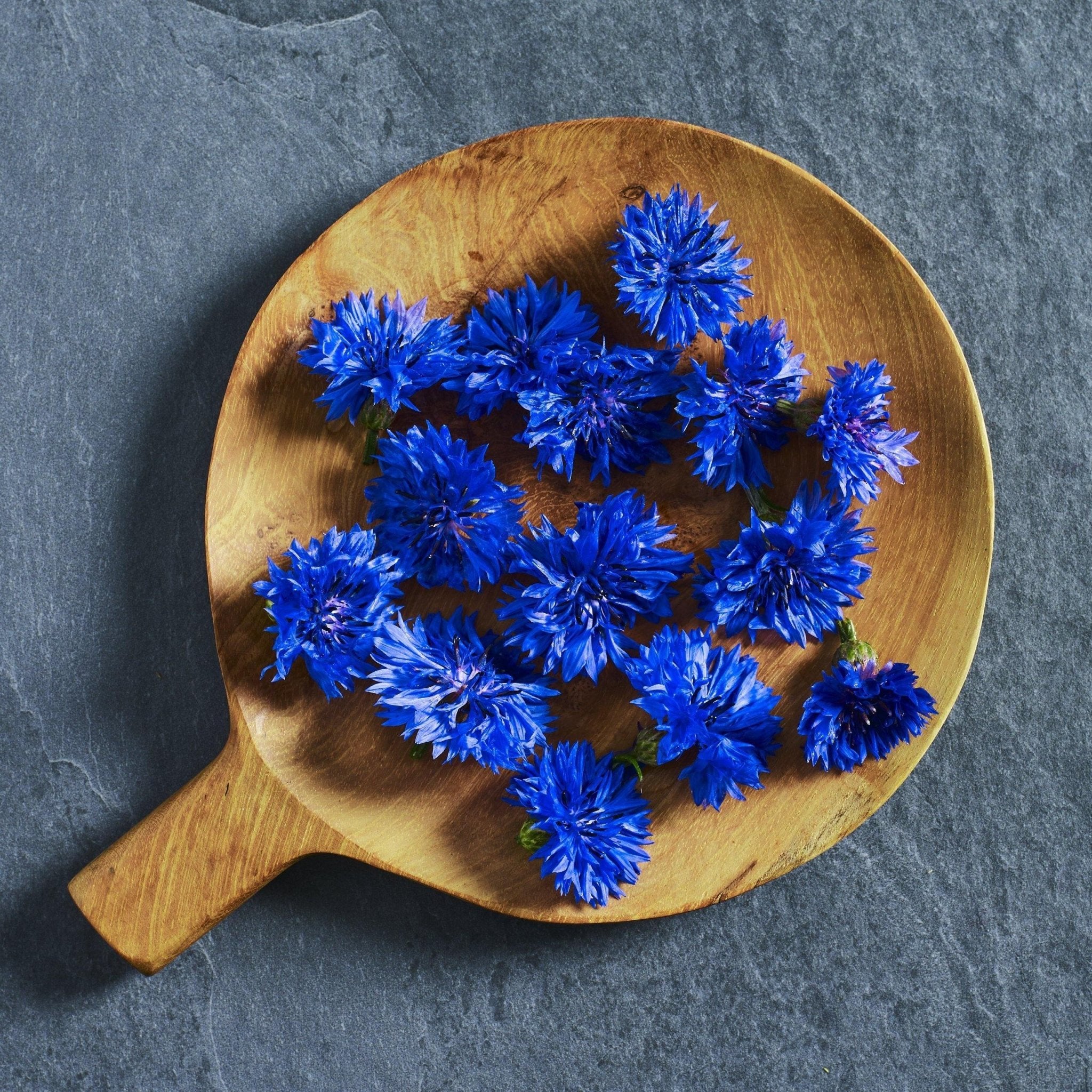Centaurea Blue Boy Cornflower Seeds - Australian Wheatgrass
