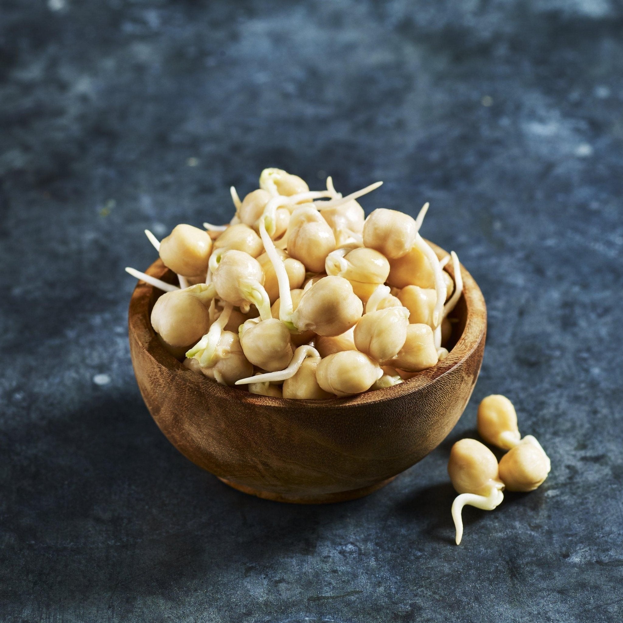 Chickpea Seeds - Sprouting - Australian Wheatgrass