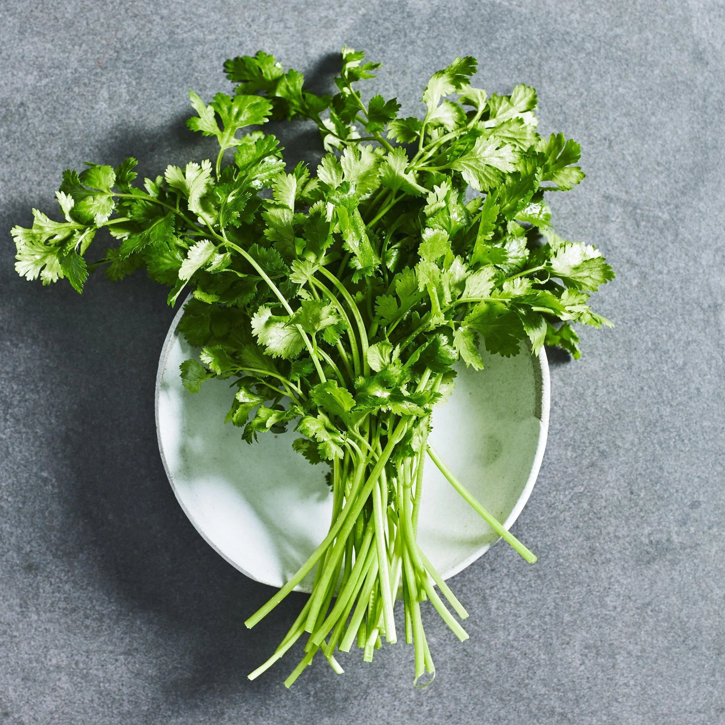 Coriander Seeds - Herbs - Australian Wheatgrass