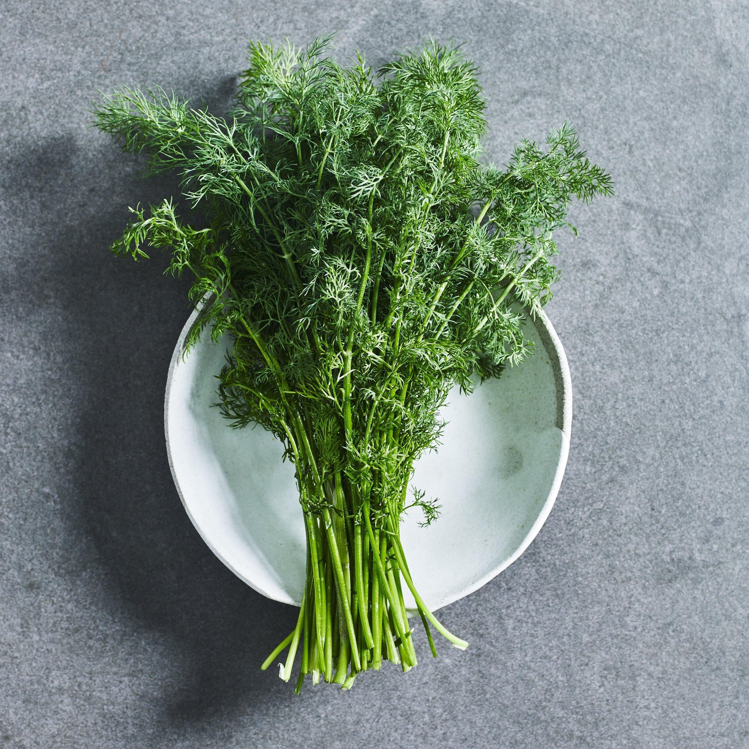 Dill Seeds - Herbs - Australian Wheatgrass
