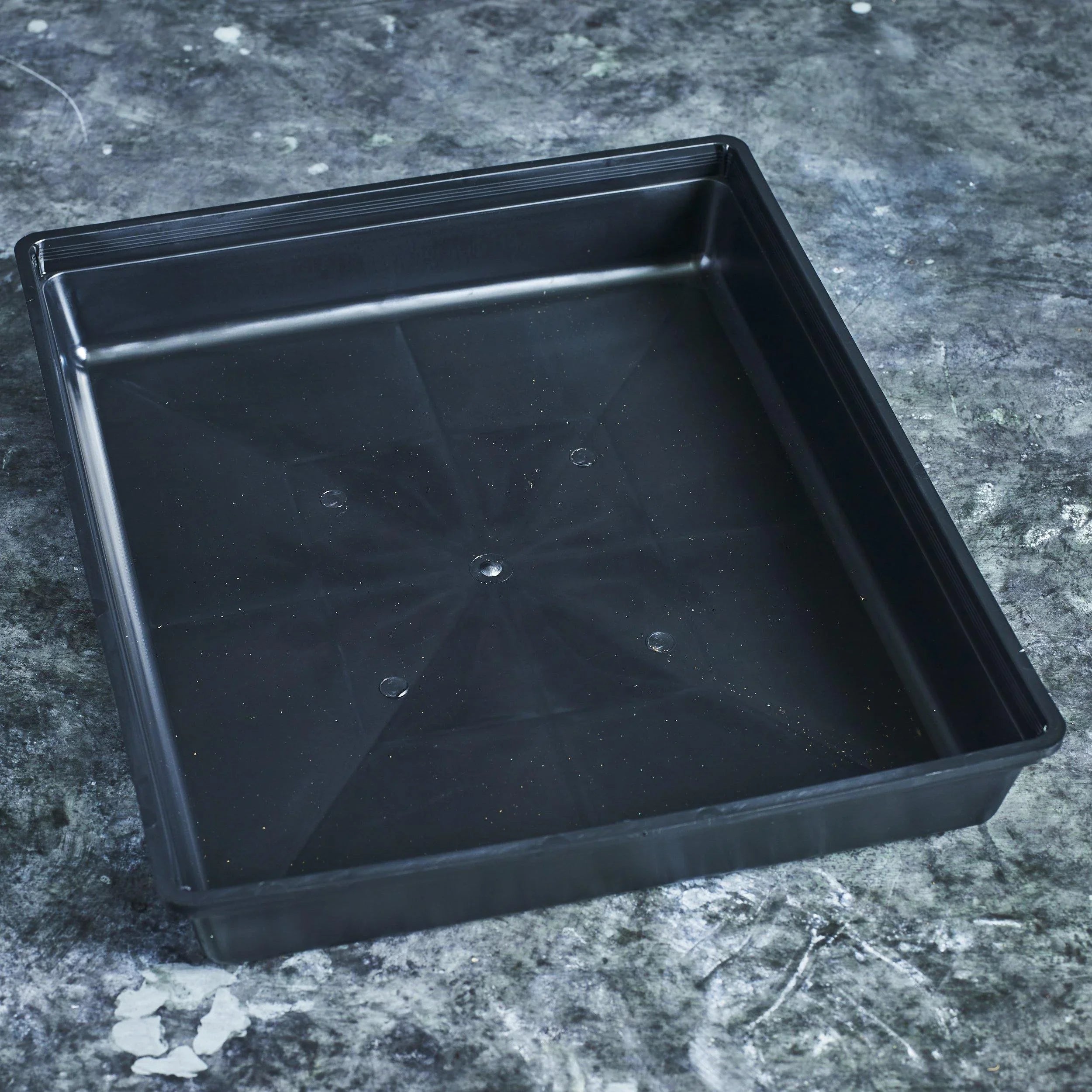 Drip Trays - Australian Wheatgrass