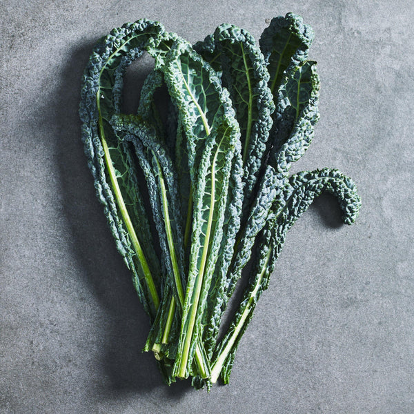 Kale Seeds- Tuscan - Australian Wheatgrass