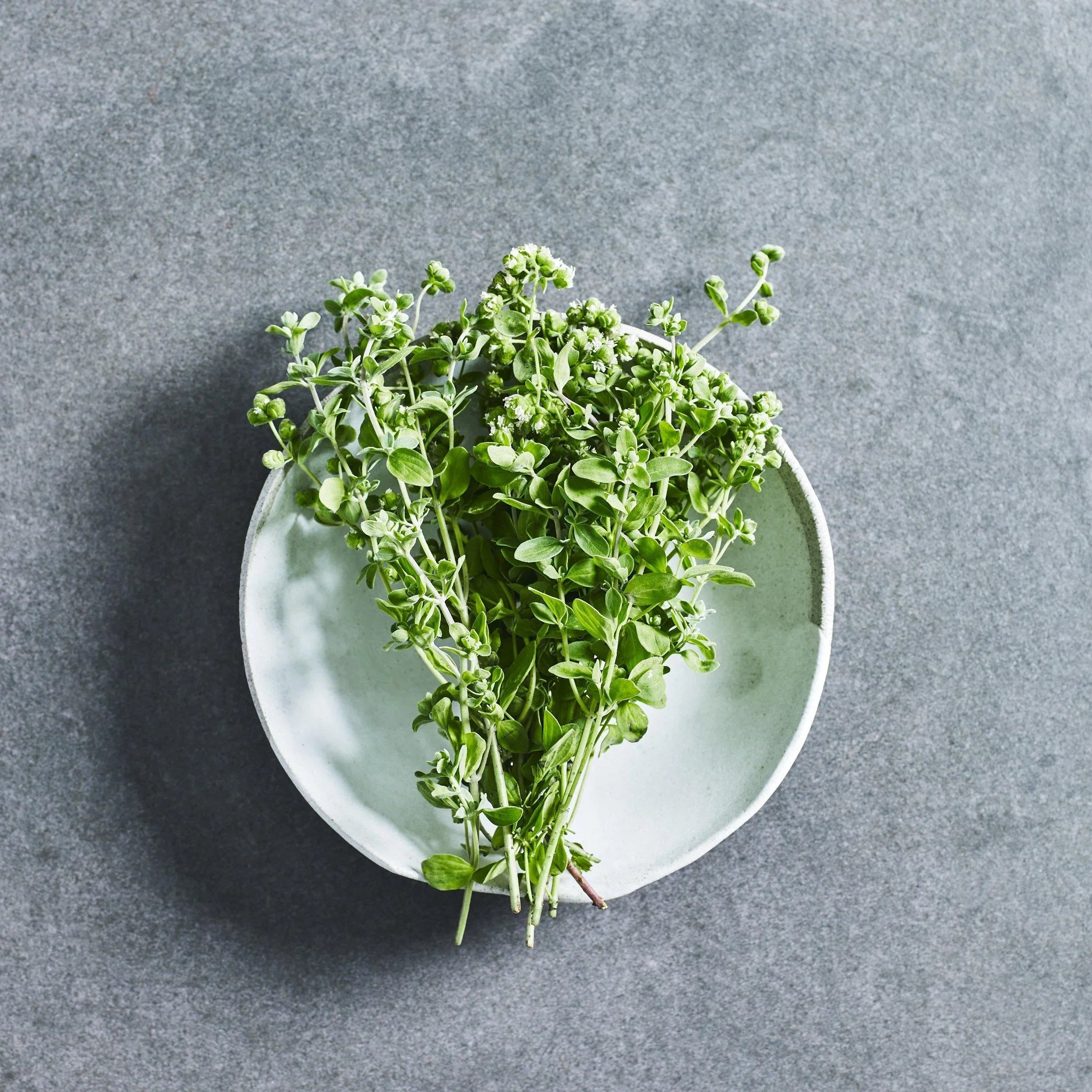 Marjoram Seeds - Herbs - Australian Wheatgrass