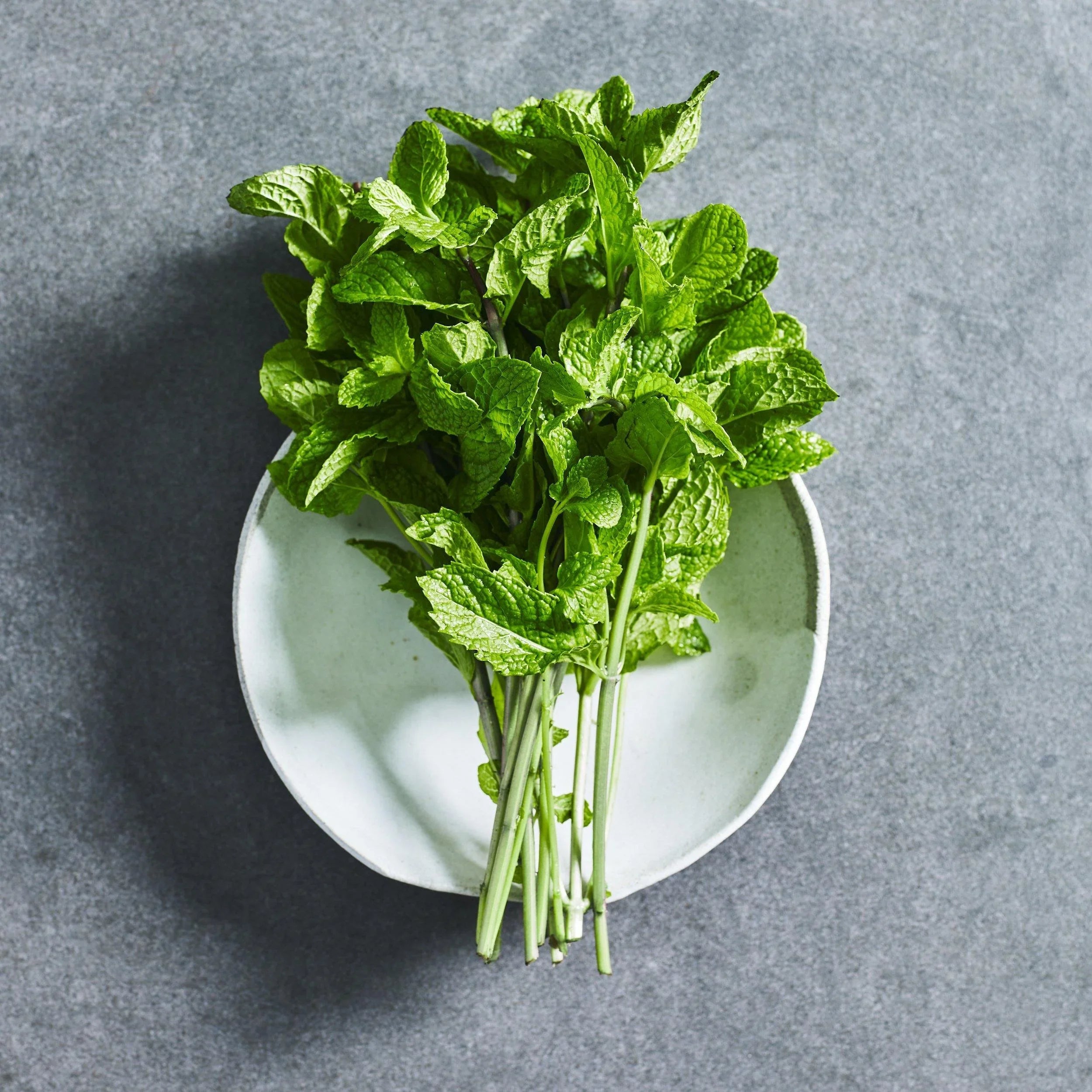Mint Seeds - Herbs - Australian Wheatgrass