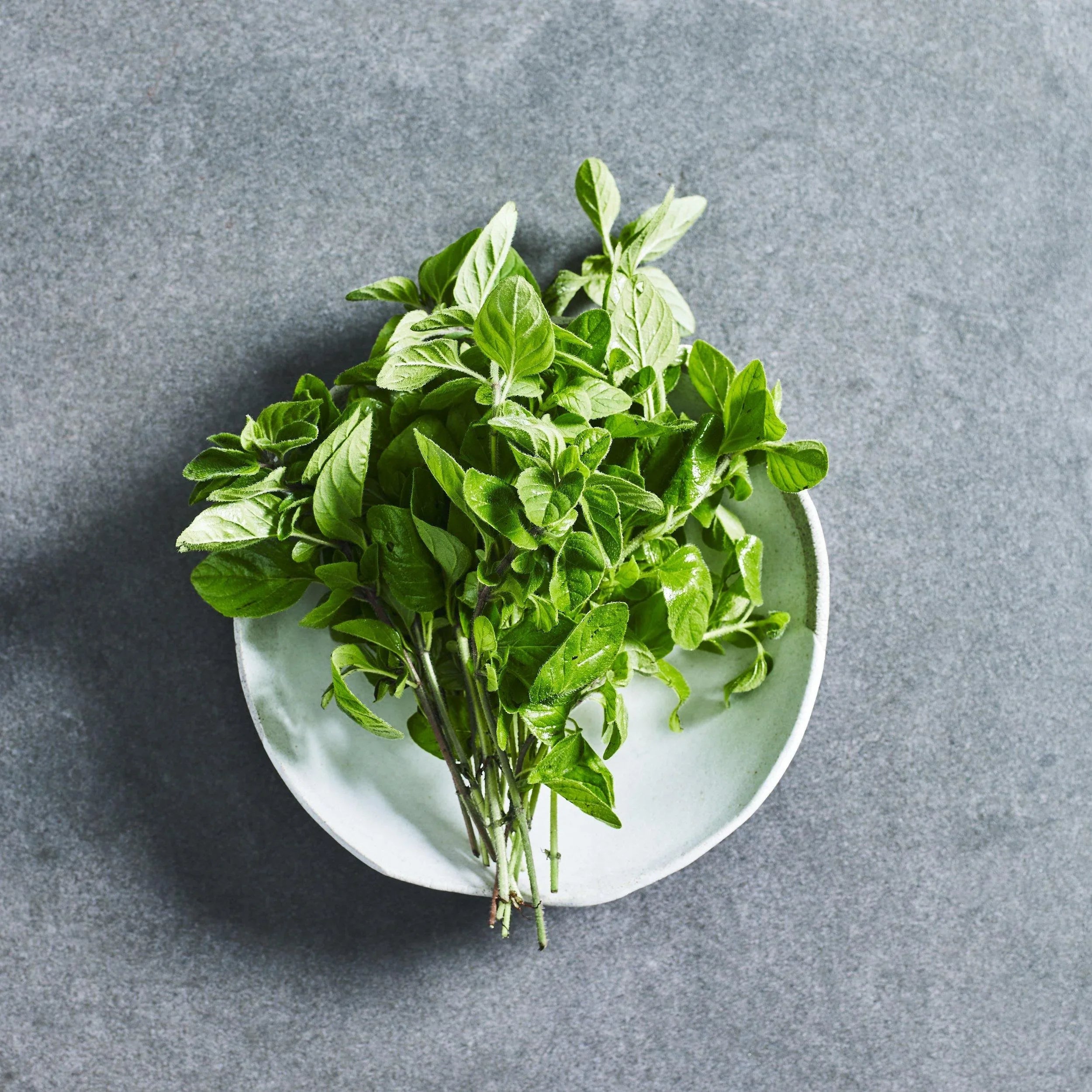Oregano Seeds - Herbs - Australian Wheatgrass
