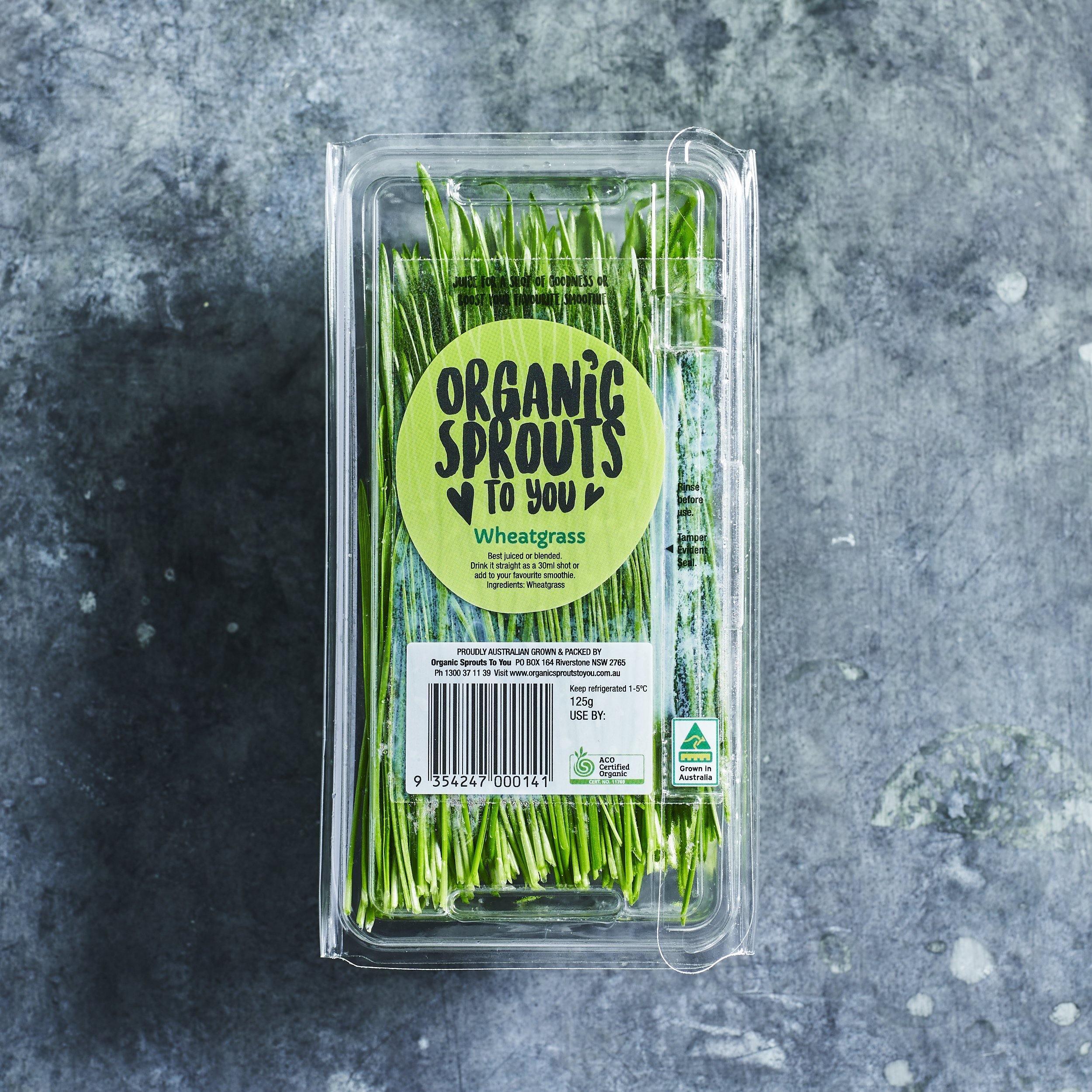 Wheatgrass - Pre-packed - Australian Wheatgrass