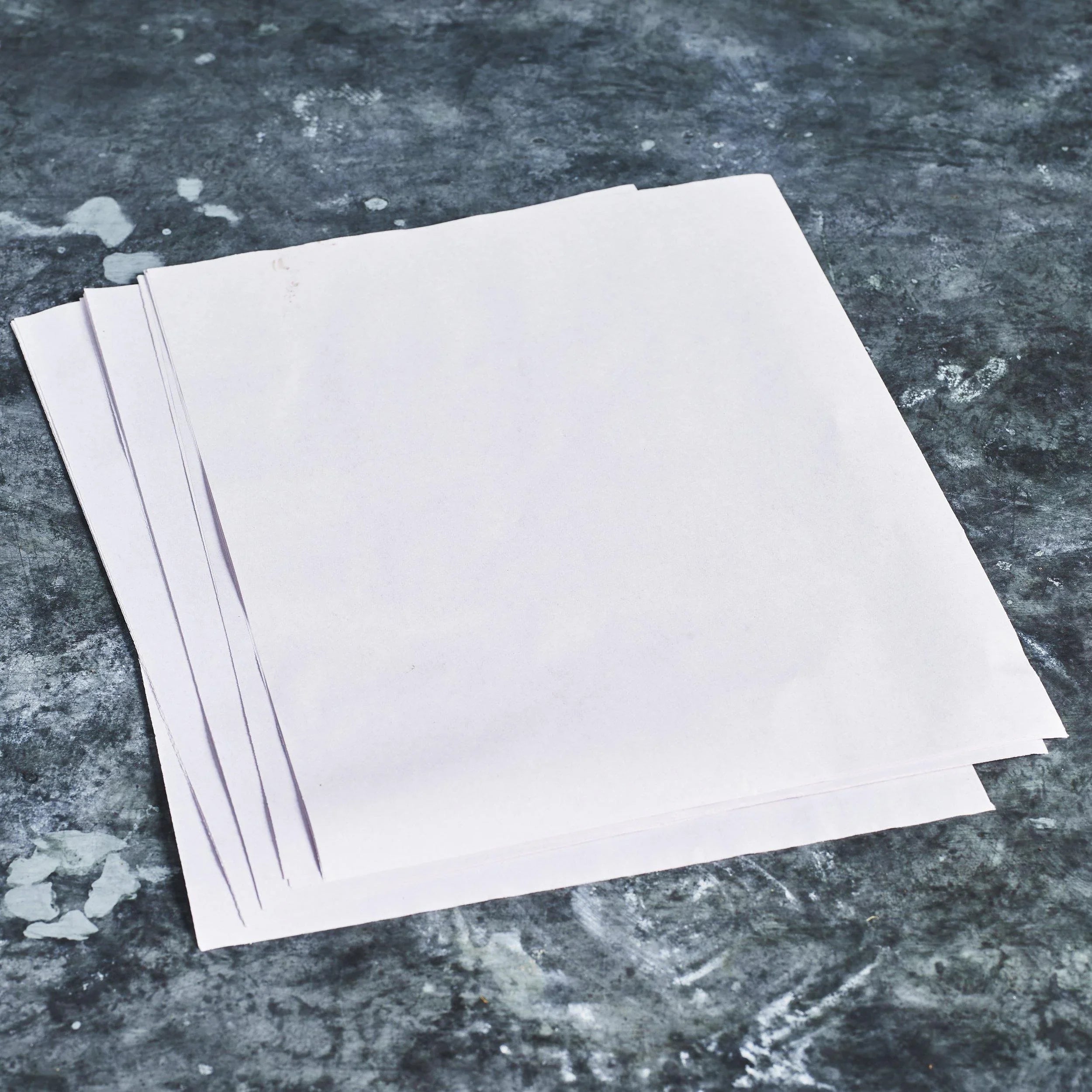 Paper Tray Liner - Australian Wheatgrass