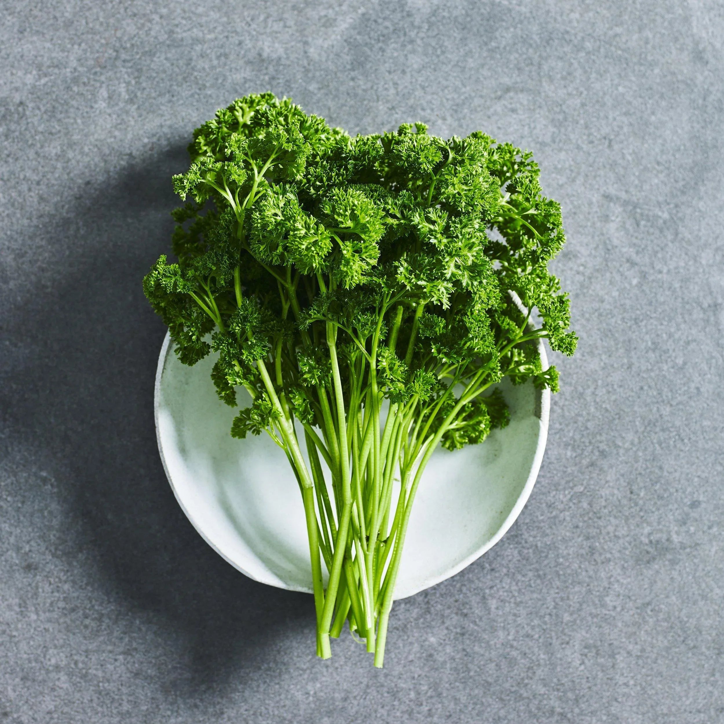 Parsley Curled Seeds - Herbs - Australian Wheatgrass