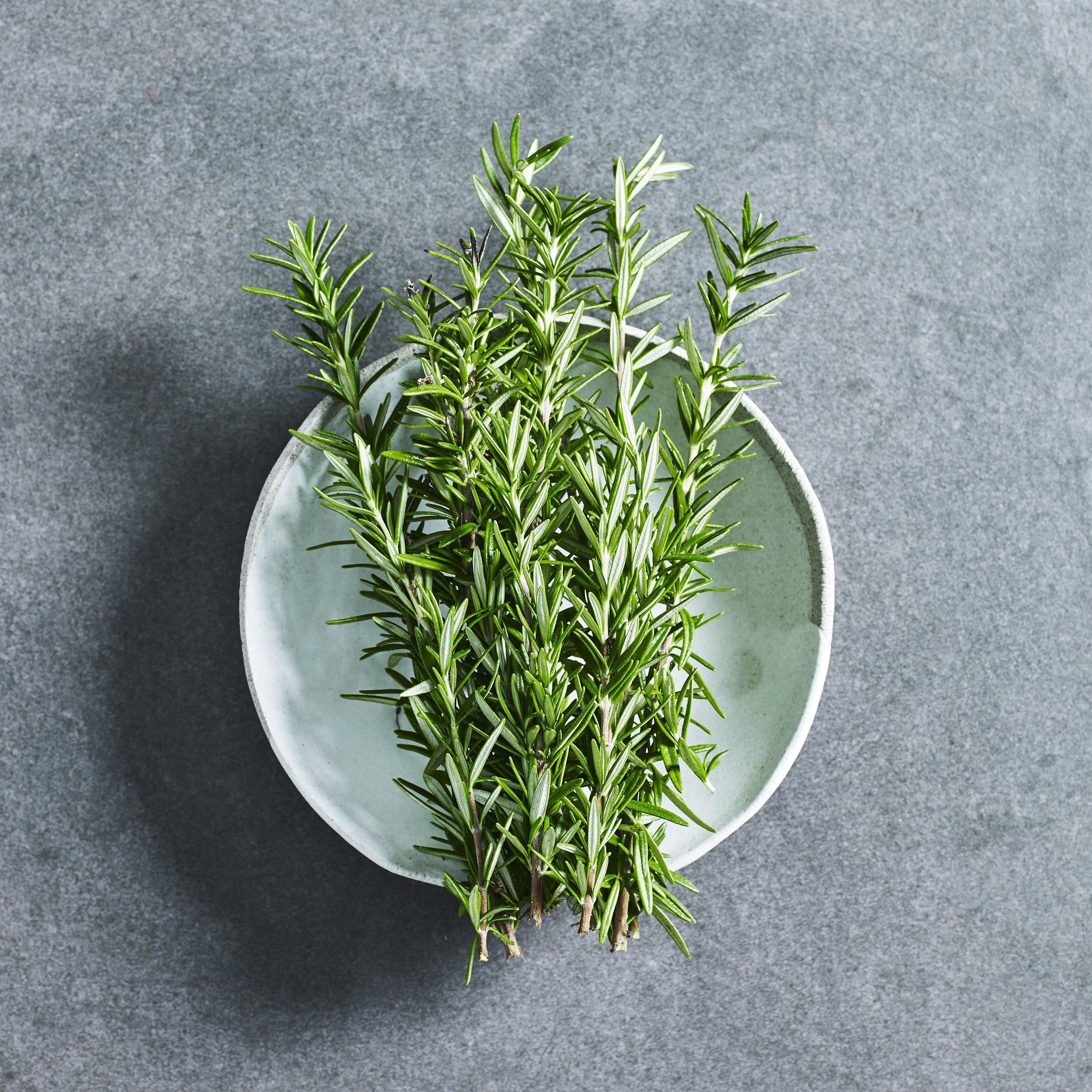 Rosemary Seeds - Herbs - Australian Wheatgrass