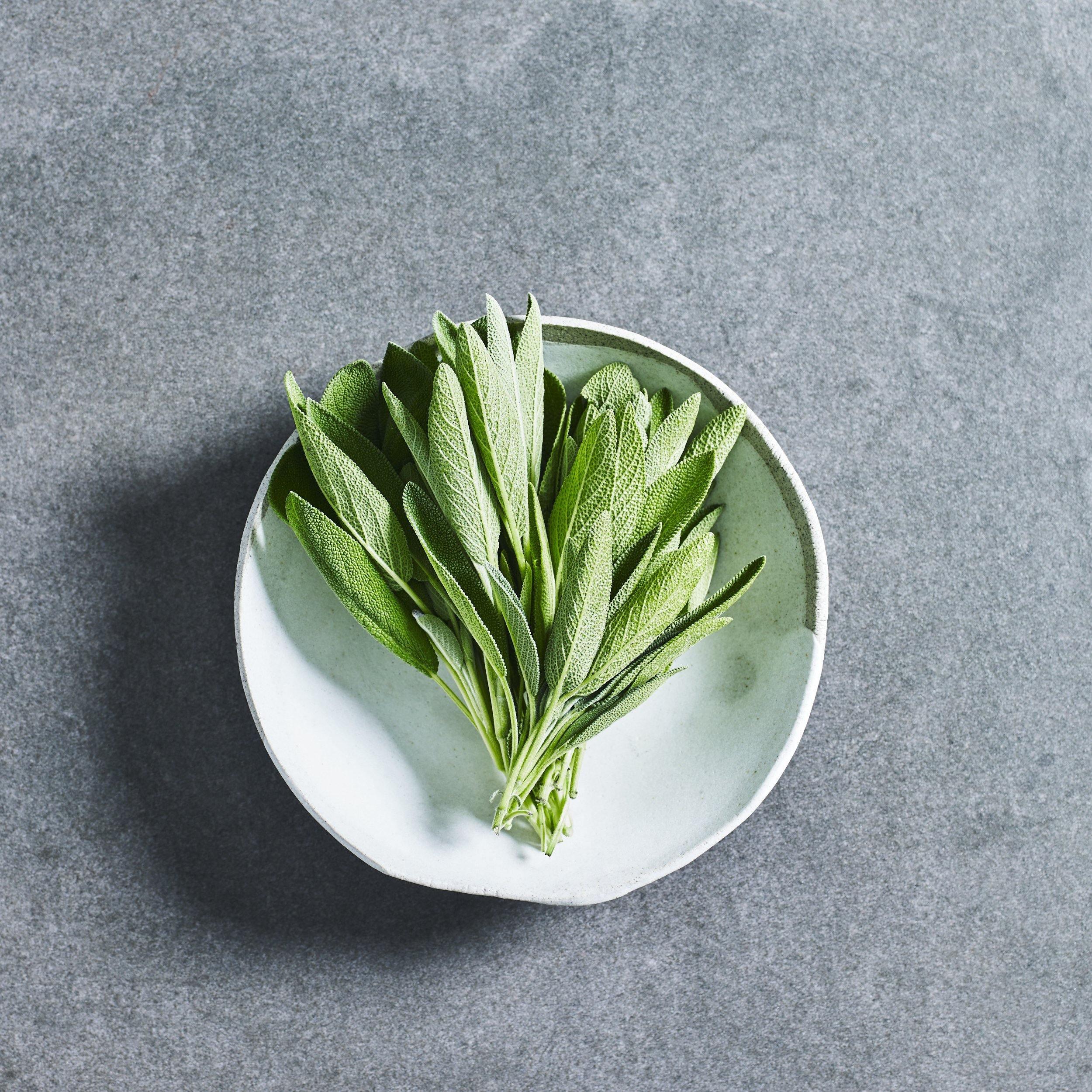 Sage Seeds - Herbs - Australian Wheatgrass