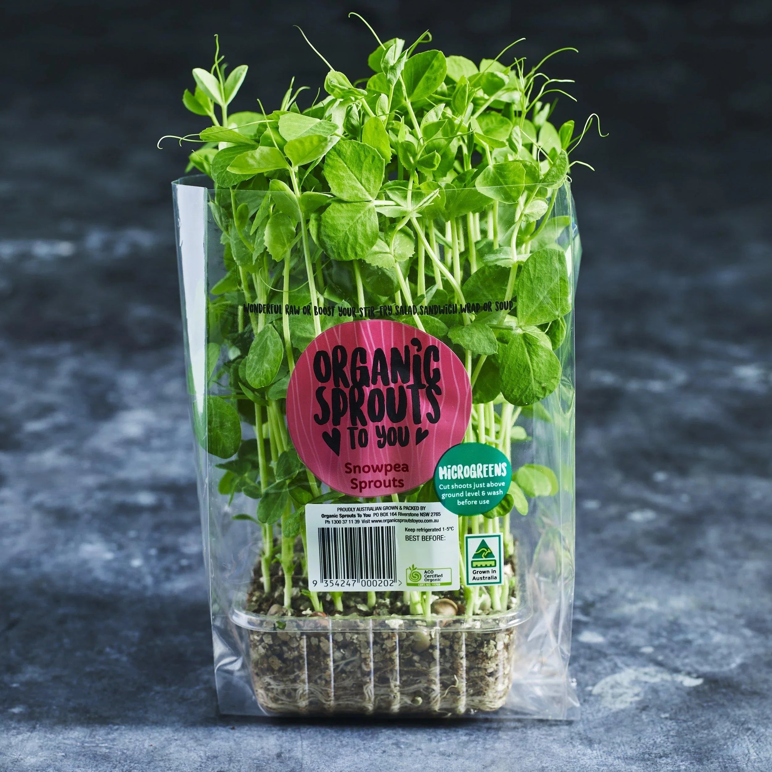 Pea Shoot Microgreens - Australian Wheatgrass