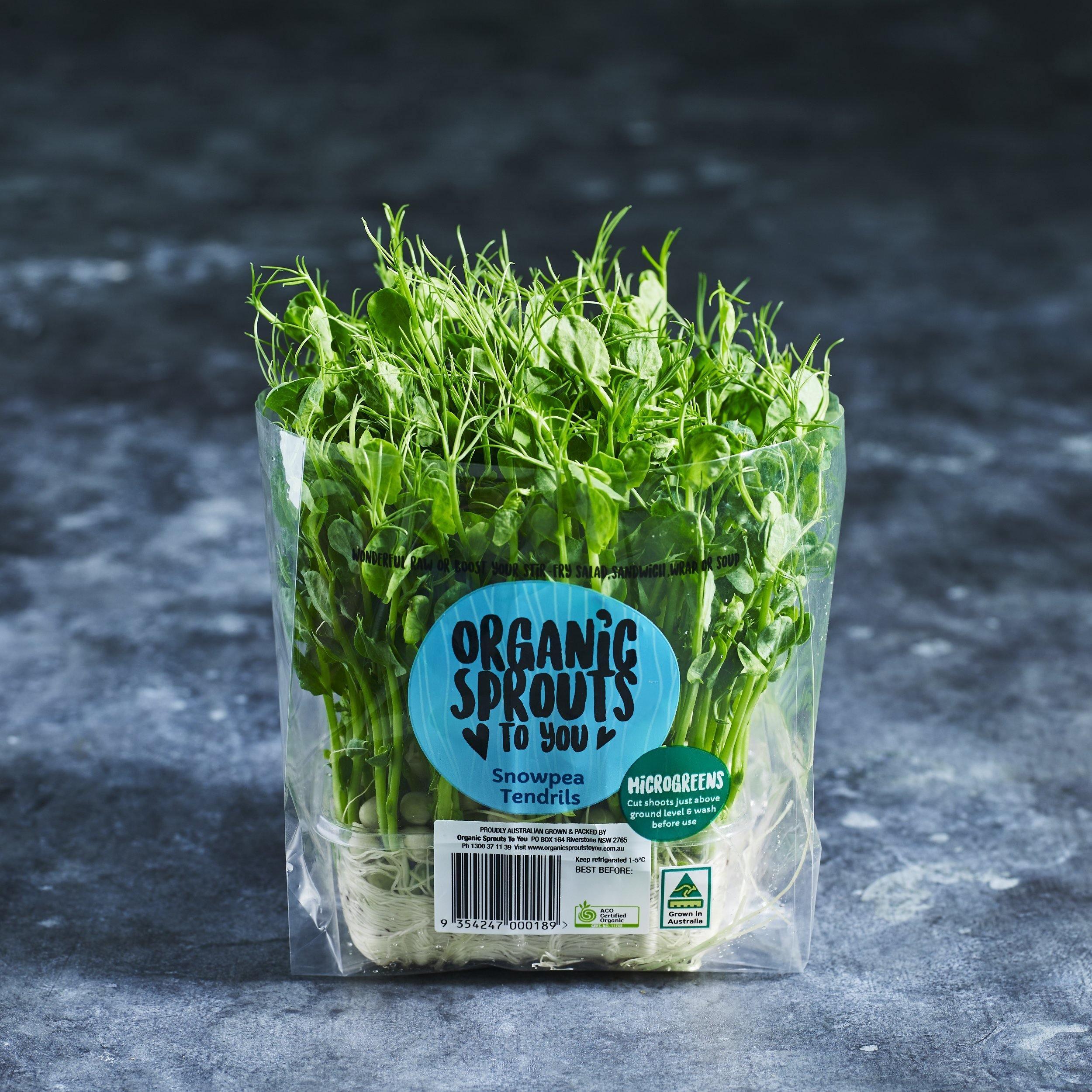 Snow Pea Tendrils - Australian Wheatgrass