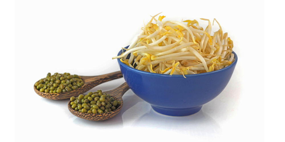 The Best Place To Buy Sprouting Seeds