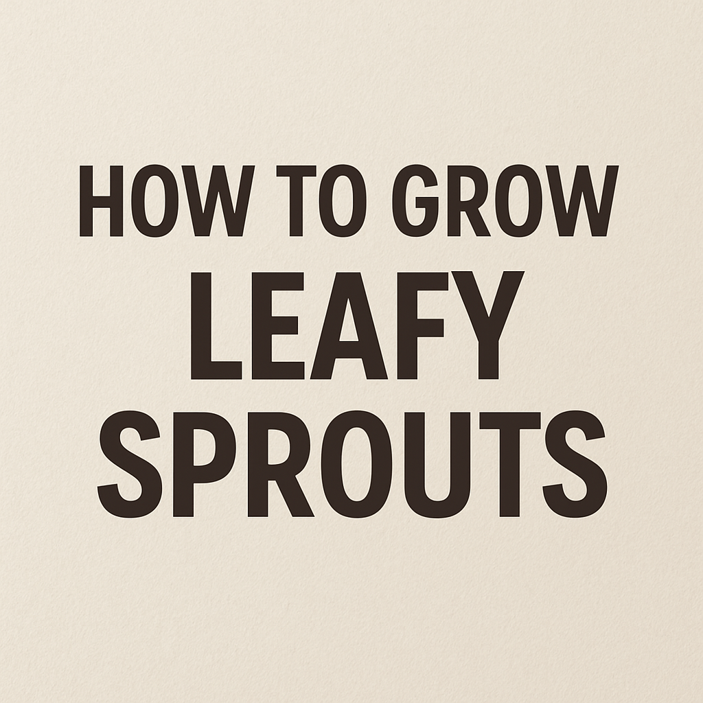 text image reads how to grow leafy sprouts