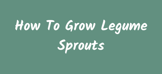 How to Grow Sprouts - Legumes