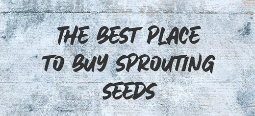 Where To Buy Sprouting Seeds