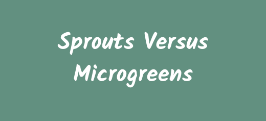 Understanding the Differences: Sprouts vs Microgreens