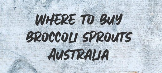 Where to buy broccoli sprouts? - Australian Wheatgrass