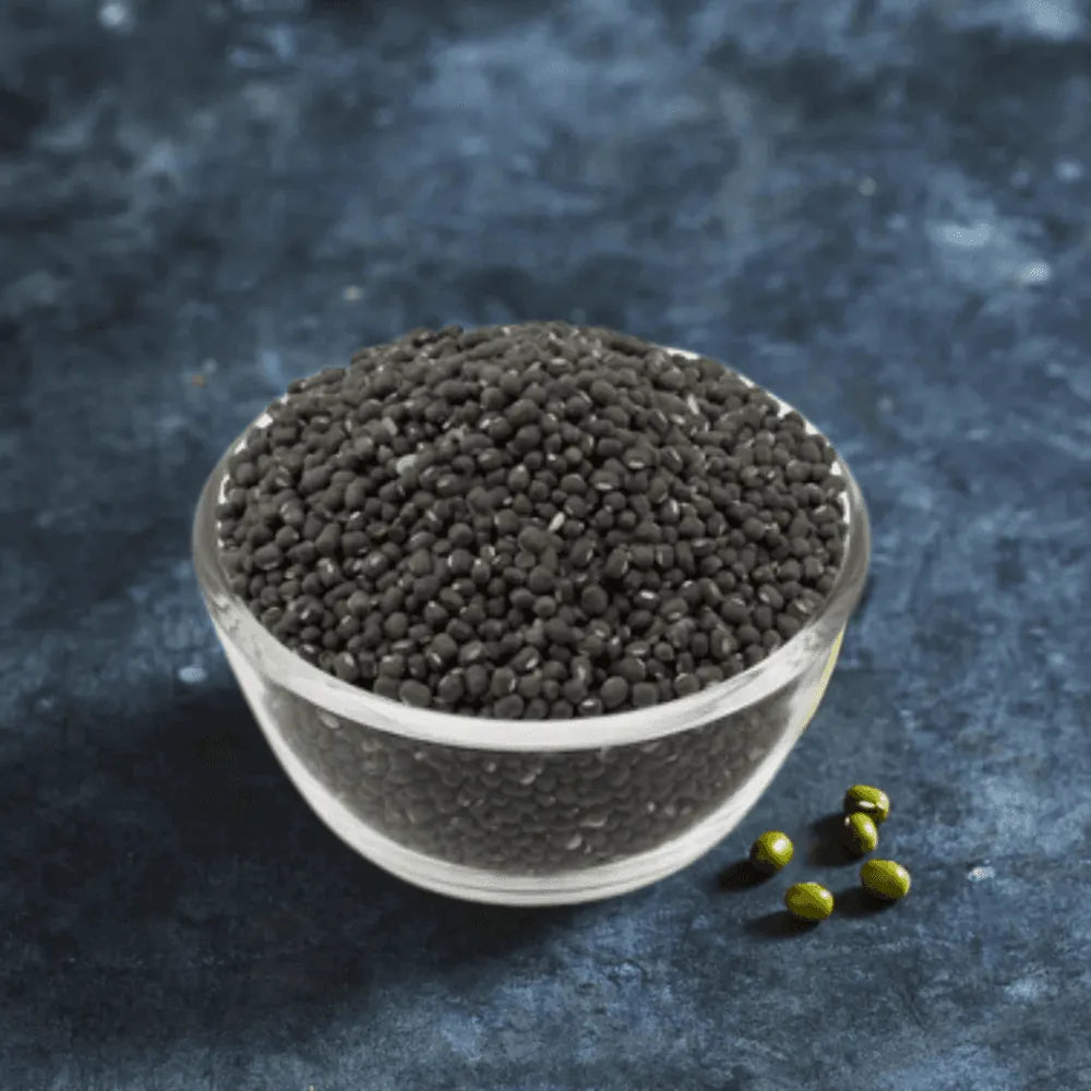 Black mung bean sprout seeds for growing sprouts - Australian Wheatgrass