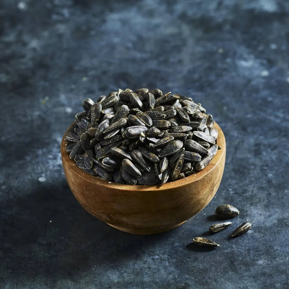 Black sunflower sprouting seeds - Australian Wheatgrass