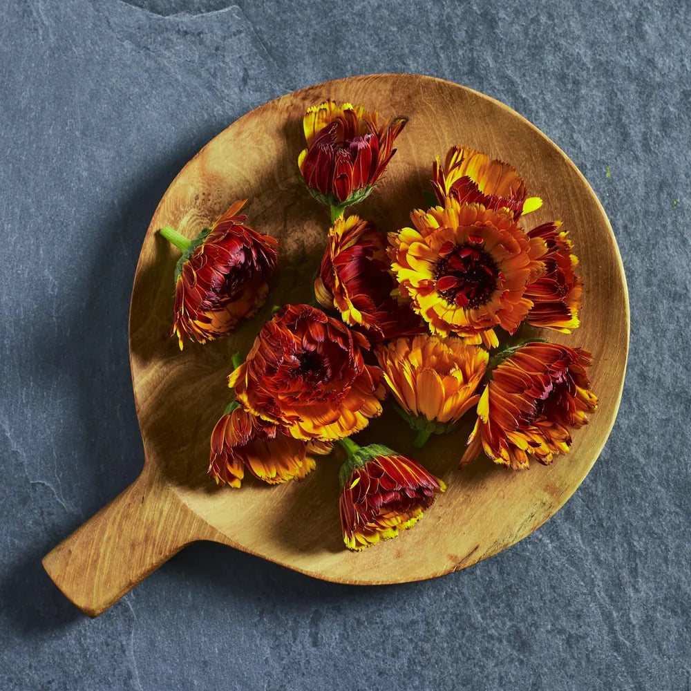 Calendula Fiesta Gitana Mix - Australian Wheatgrass