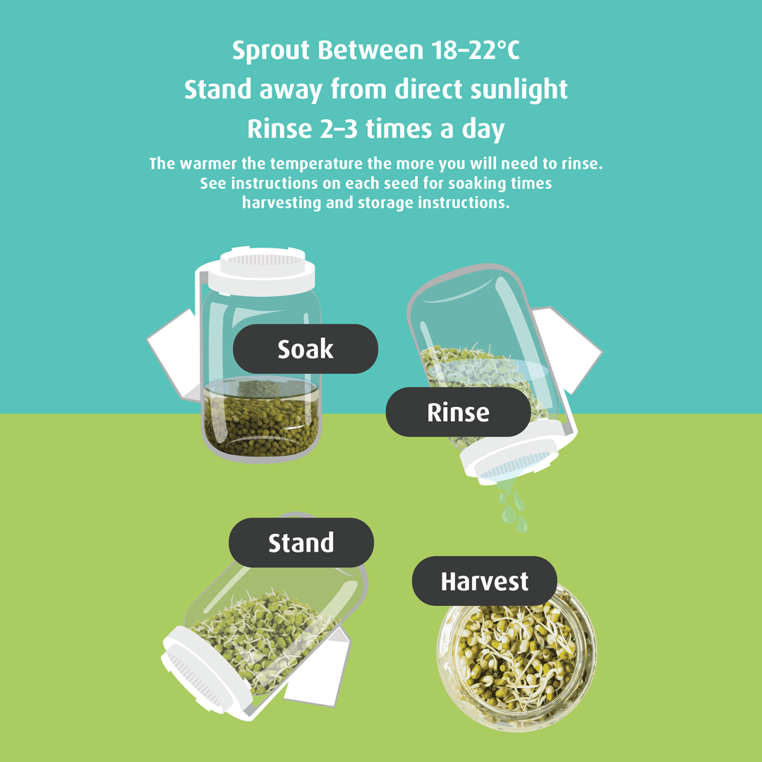 Broccoli Sprout Grow Kit