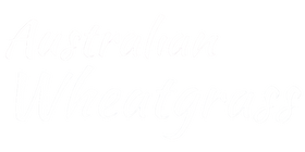 Australian Wheatgrass